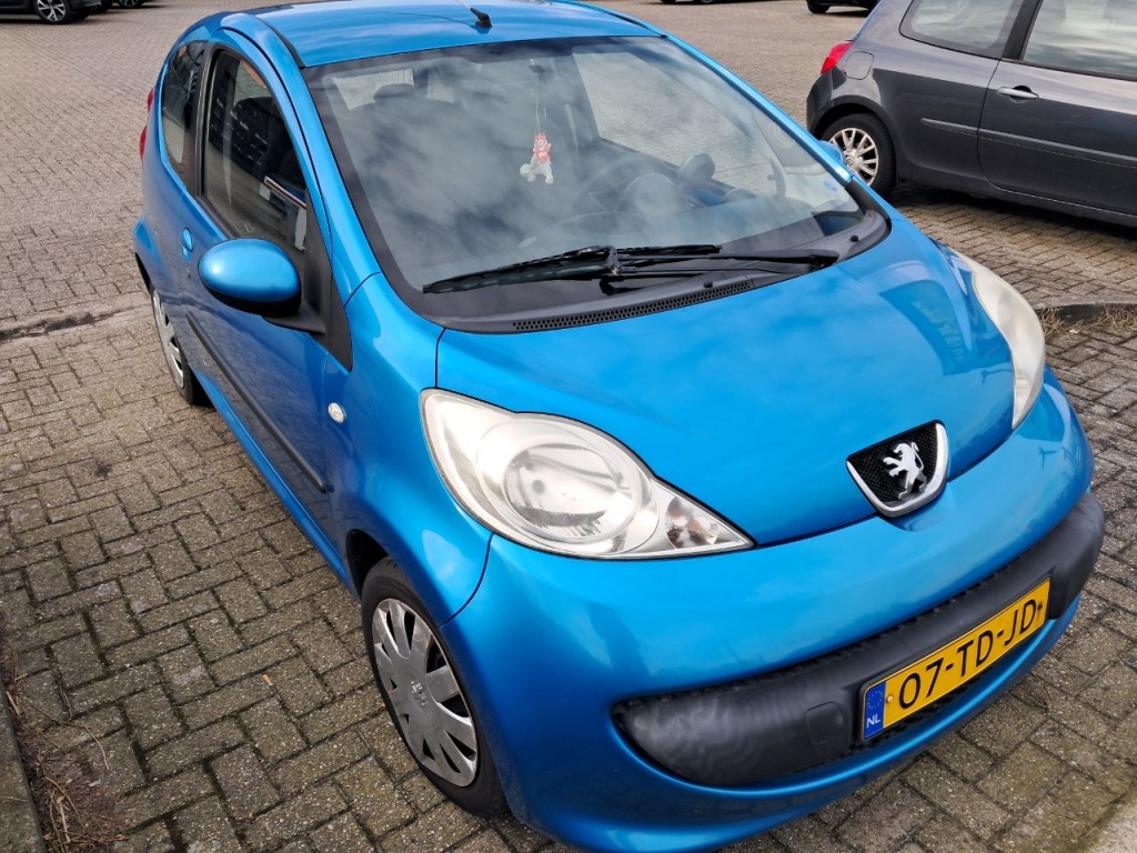 43077370-1.jpg
