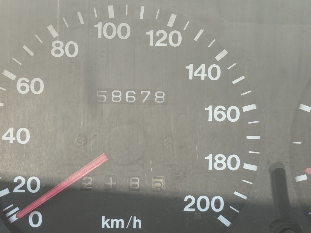 45791511-6.jpg