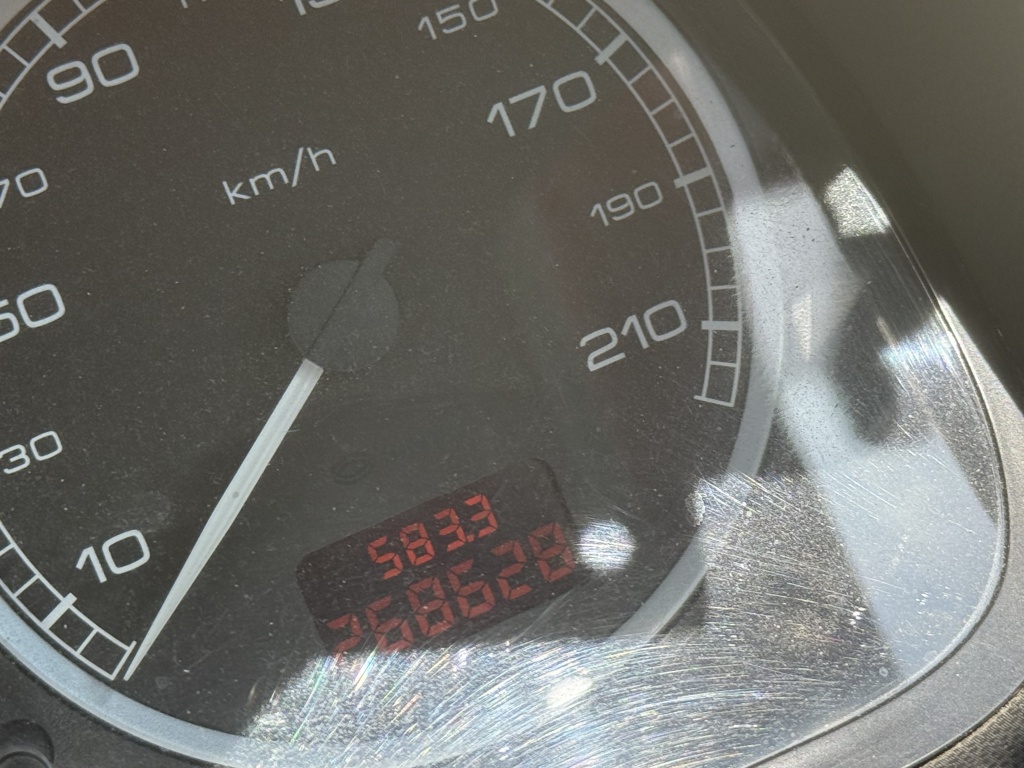 45838232-6.jpg
