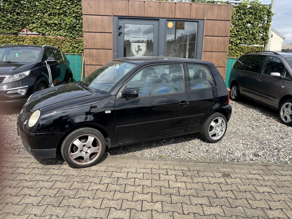 47247441-2.jpg