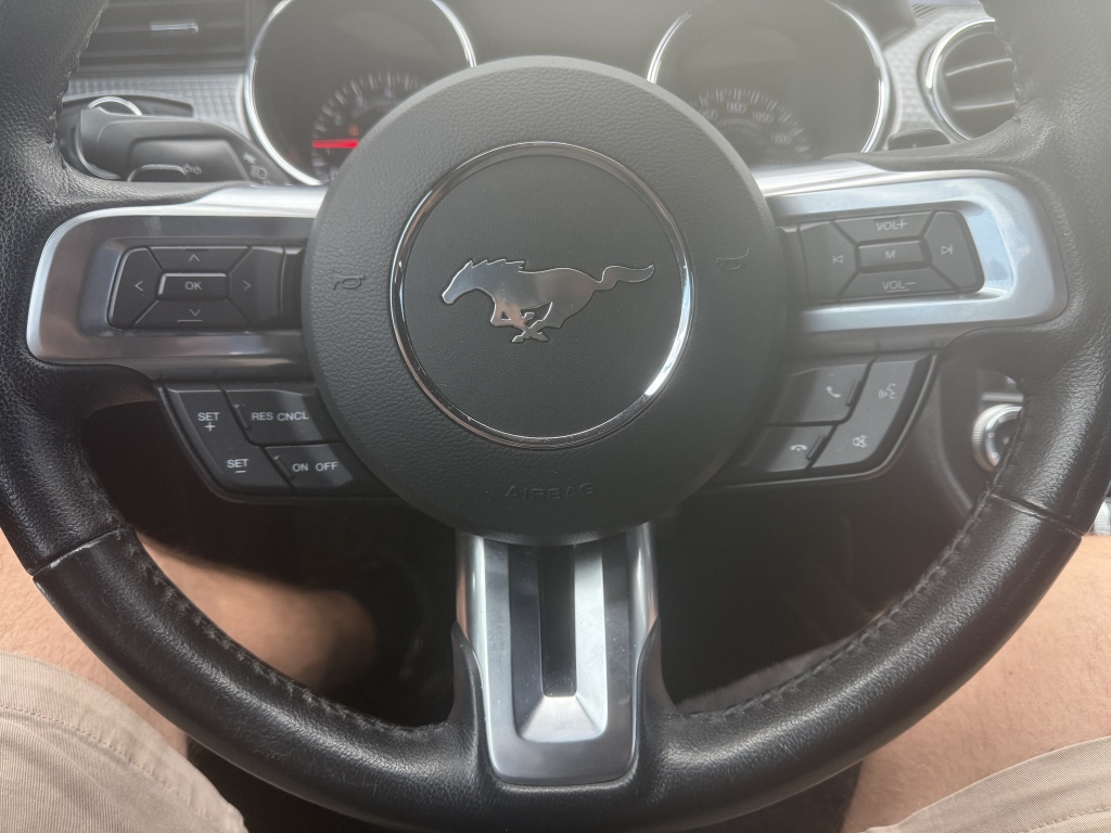 47574984-13.jpg
