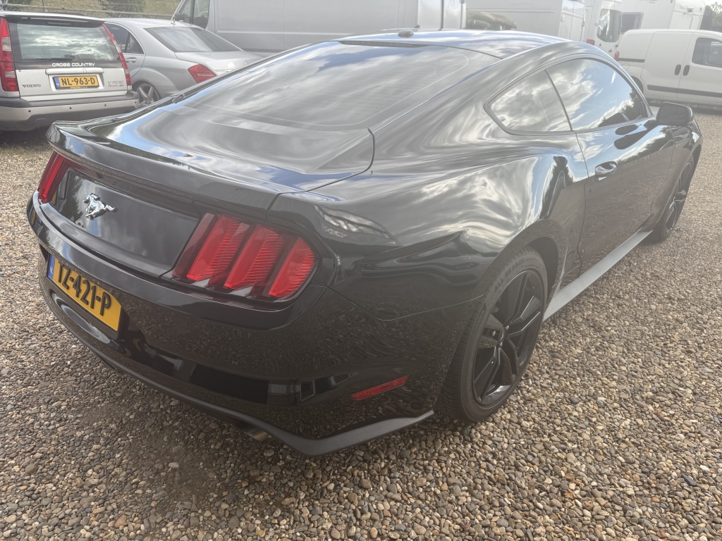 47574984-2.jpg