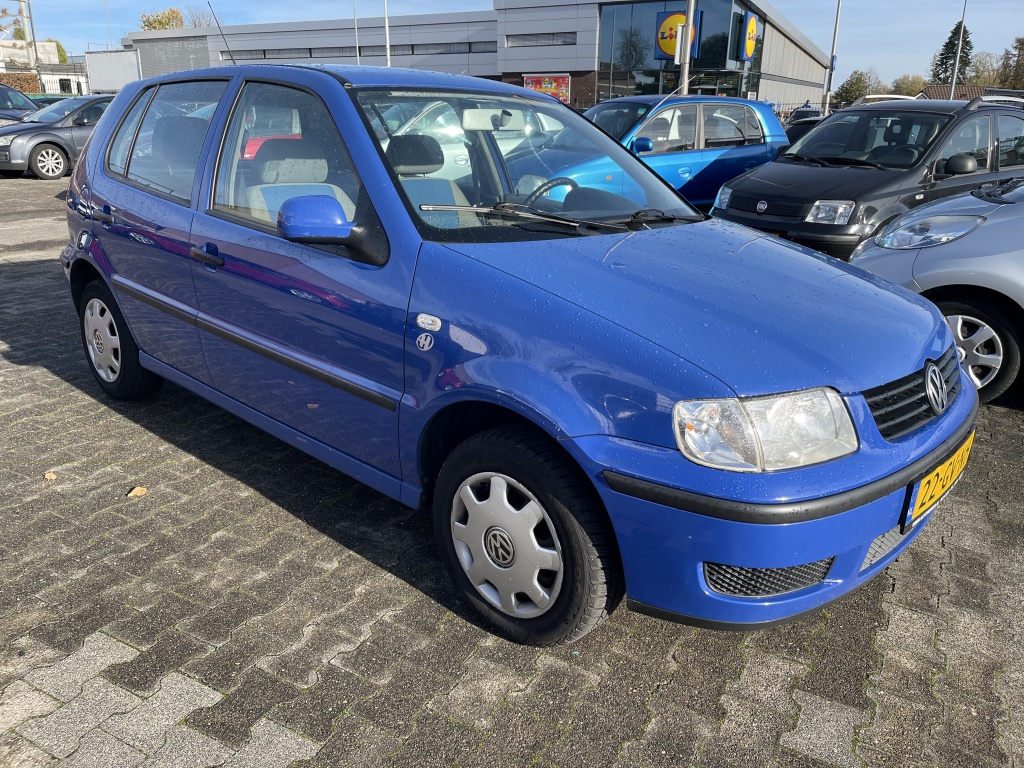 53313202