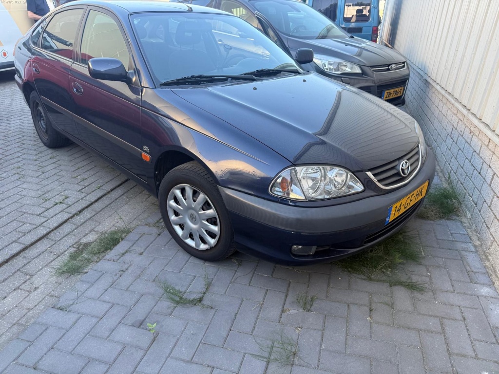 55906045 0.jpg