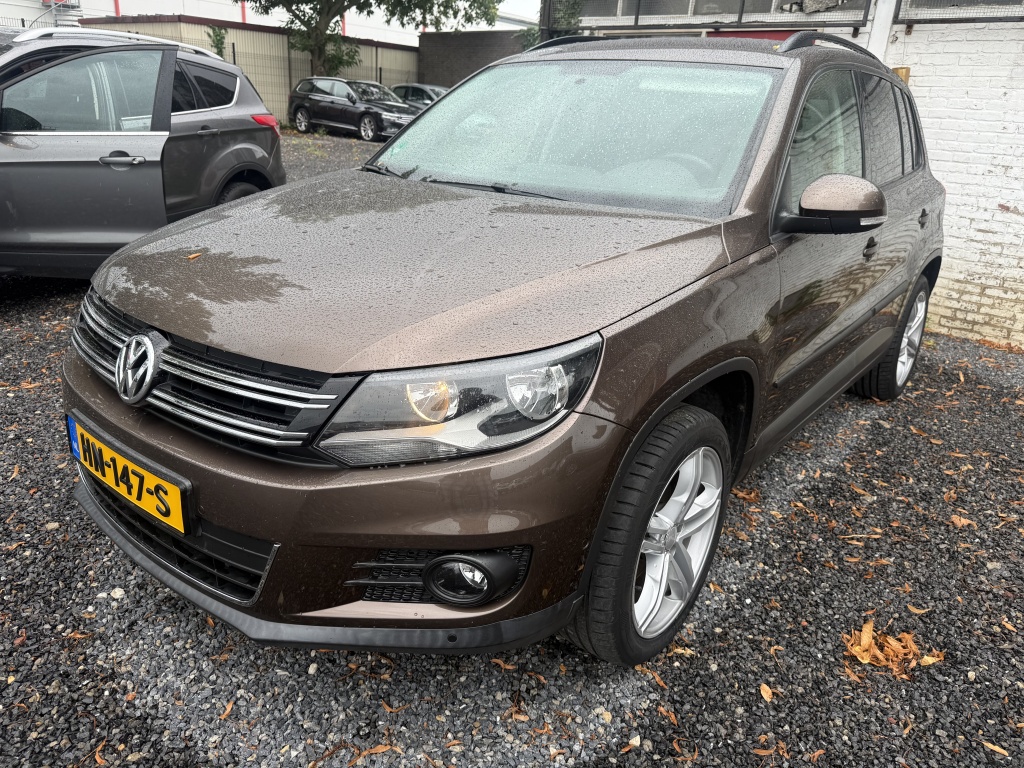 56286494 0.jpg