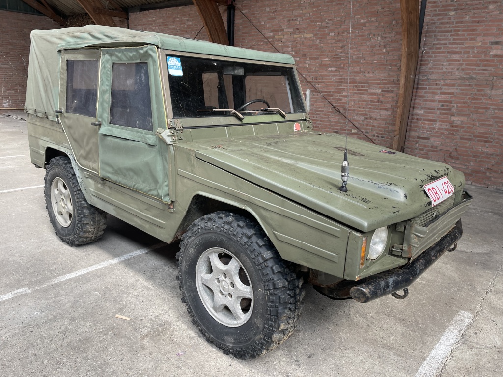 56544412 0.jpg